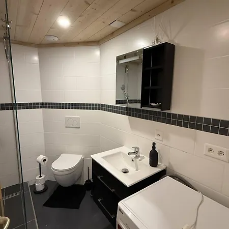 Little Piguet Apartament Gryon