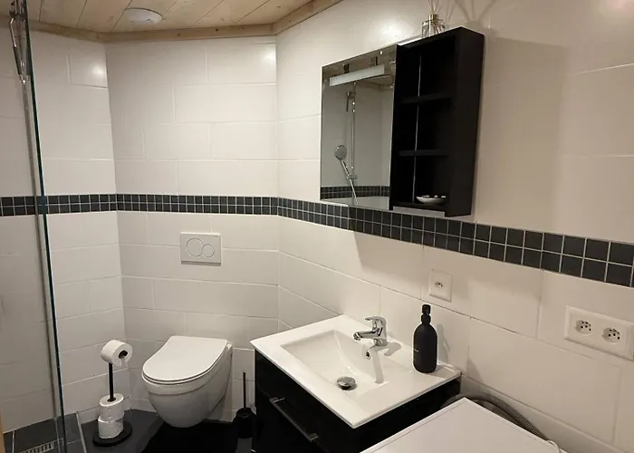 Little Piguet Appartement Gryon