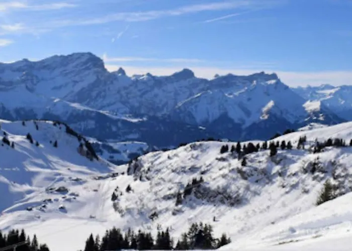 Little Piguet Appartement Gryon