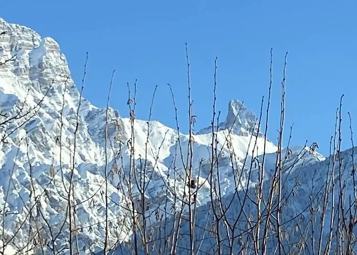 Little Piguet גריון